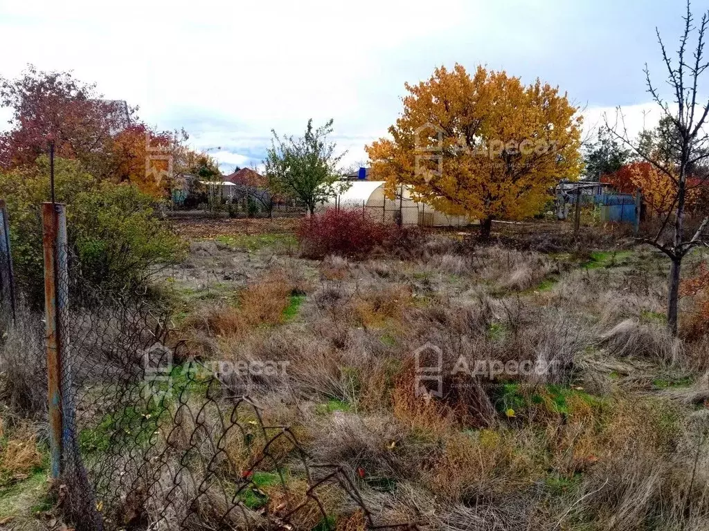 Участок в Волгоградская область, Волгоград Лесник-2 СНТ,  (6.0 сот.) - Фото 2