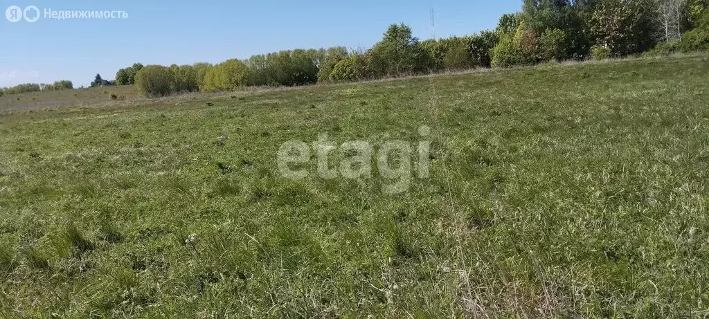 Участок в Калининградская область, Зеленоградский муниципальный округ, ... - Фото 1