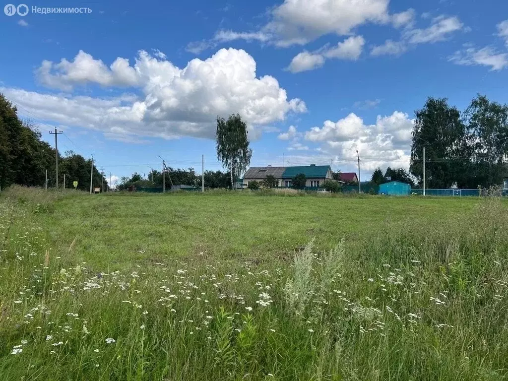 Участок в Дубенский район, сельское поселение Протасовское, село ... - Фото 1