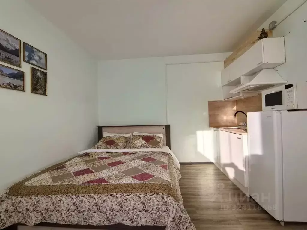 Дом в Алтай, Майминский район, Манжерокское с/пос, с. Озерное ул. ... - Фото 1