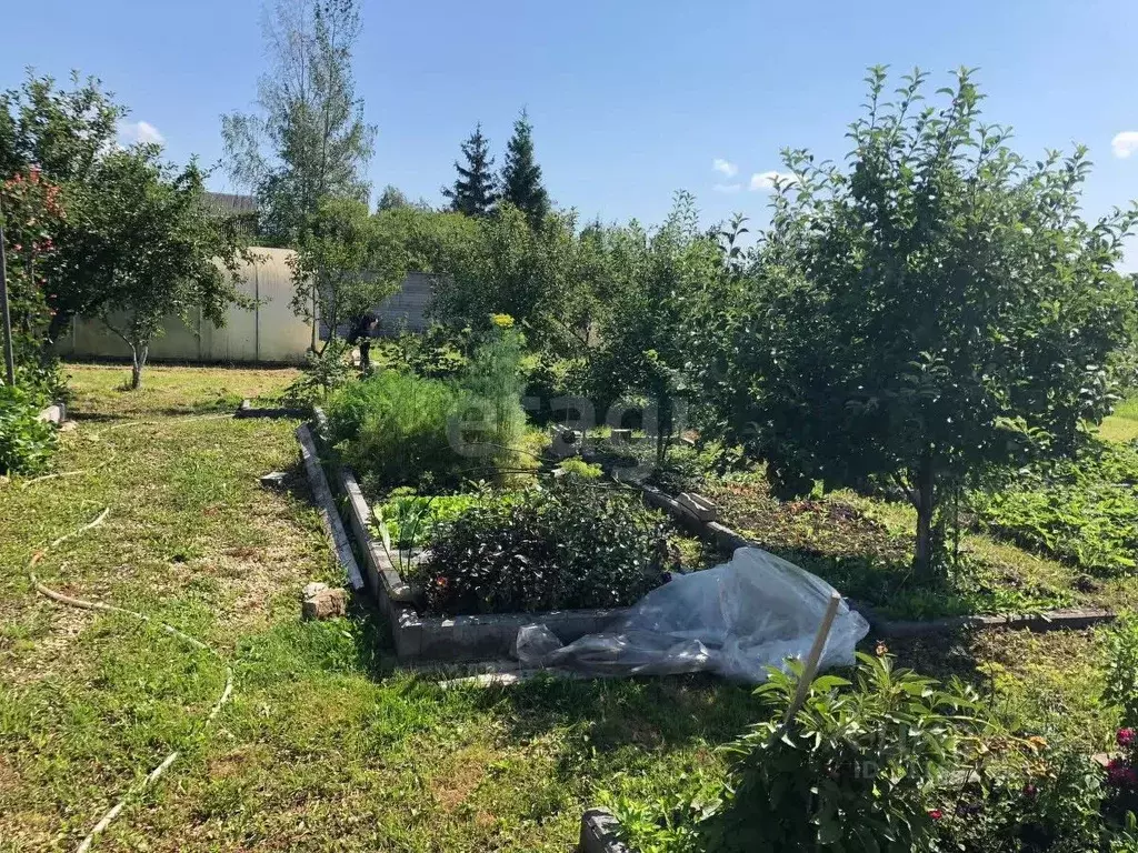 Дом в Псковская область, Пыталово Береговая ул., 38 (200 м) - Фото 1