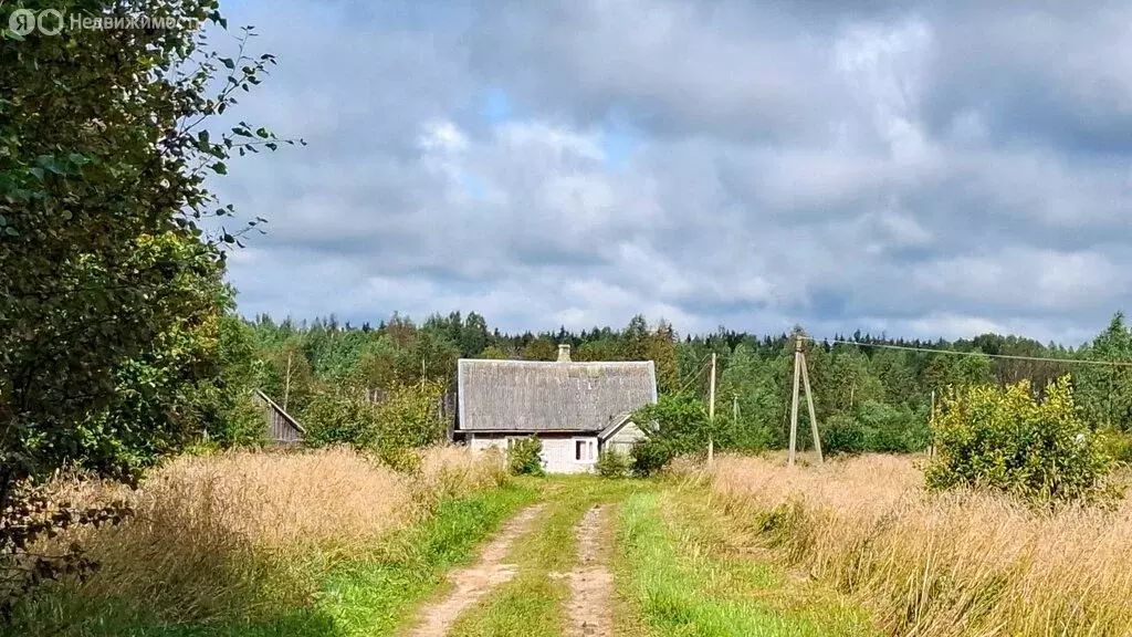 Дом в Псковская область, Печорский муниципальный округ, деревня ... - Фото 1