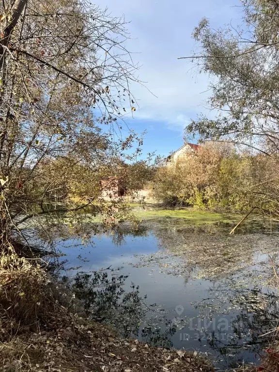 Участок в Самарская область, Самара Жигулевские Сады СДНТ, 244 (8.0 ... - Фото 1