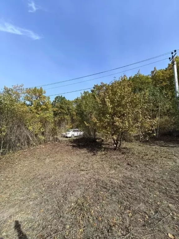 Участок в Амурская область, Благовещенск Игнатьевское ш. (11.3 сот.) - Фото 2