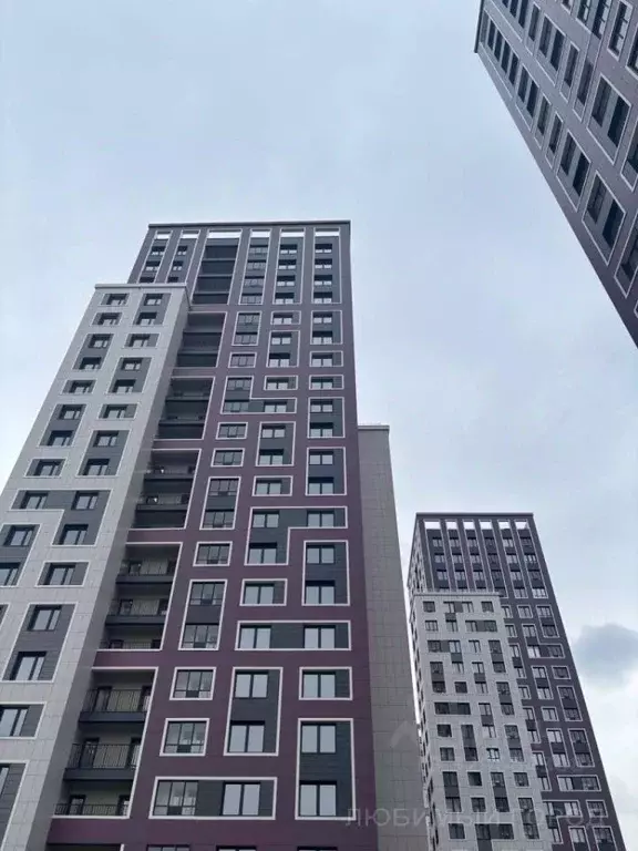 Студия Санкт-Петербург просп. Маршала Блюхера, 3к1 (26.1 м) - Фото 2