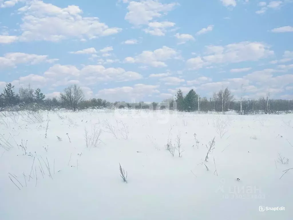 Участок в Костромская область, Кострома Соколиное Гнездо кп,  (9.45 ... - Фото 0
