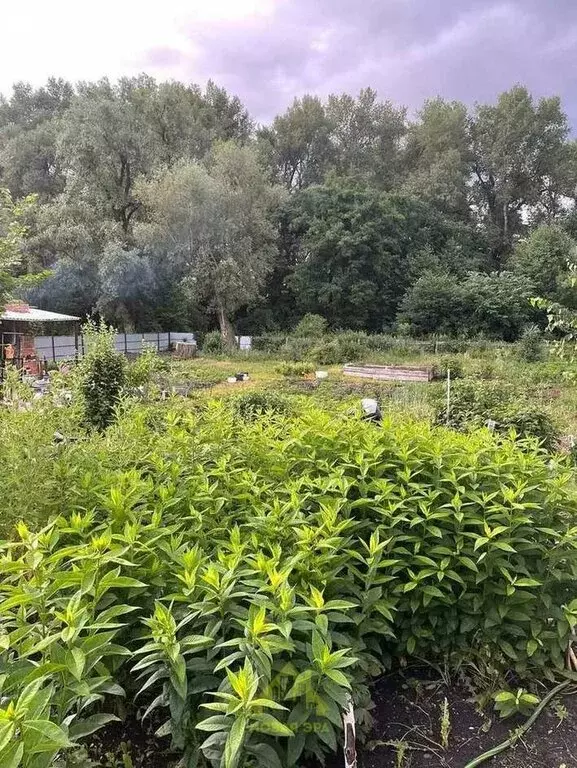 Дом в Городки, Рыбаковская улица, 23 (25.7 м) - Фото 0