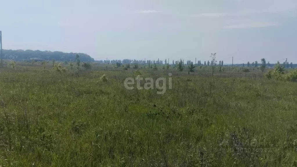 Участок в Белгородская область, Яковлевский городской округ, с. Раково ... - Фото 0