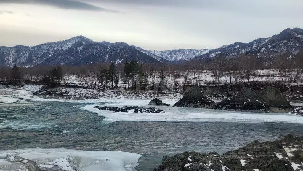 Участок в Алтай, Чемальский район, с. Анос  (1512.0 сот.) - Фото 2