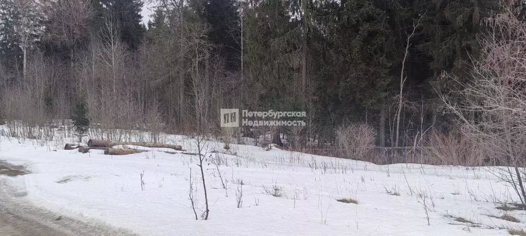 Участок в Ленинградская область, Всеволожский район, Лесколовское ... - Фото 0