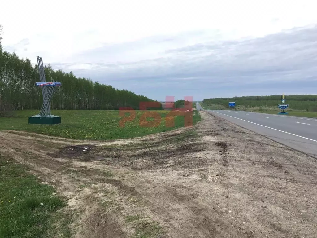 Участок в Пензенская область, Городищенский район, с. Русский Ишим ... - Фото 2