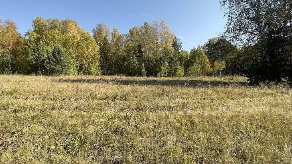 Участок в Свердловская область, Ревда городской округ, пос. Ледянка ... - Фото 0