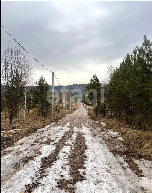 Участок в Красноярский край, Дивногорск городской округ, пос. Манский  ... - Фото 0