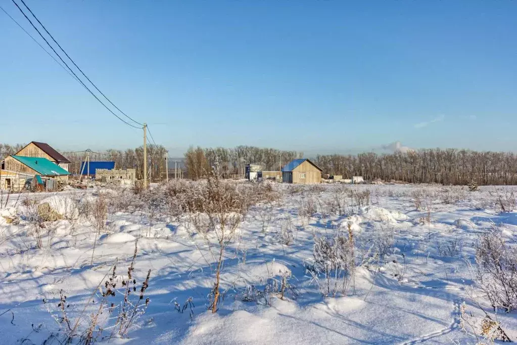 Участок в Новосибирская область, Искитимский район, Совхозный ... - Фото 0