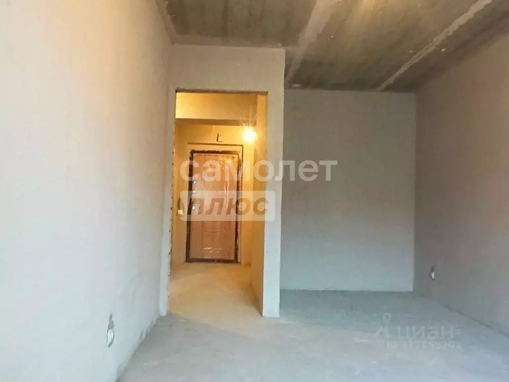 1-к кв. Амурская область, Благовещенский район, с. Чигири ул. ... - Фото 2