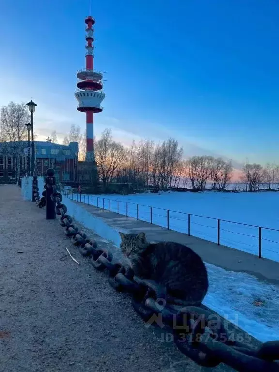 1-к кв. Санкт-Петербург, Санкт-Петербург, Петергоф ул. Дивеевская, 1Л ... - Фото 1