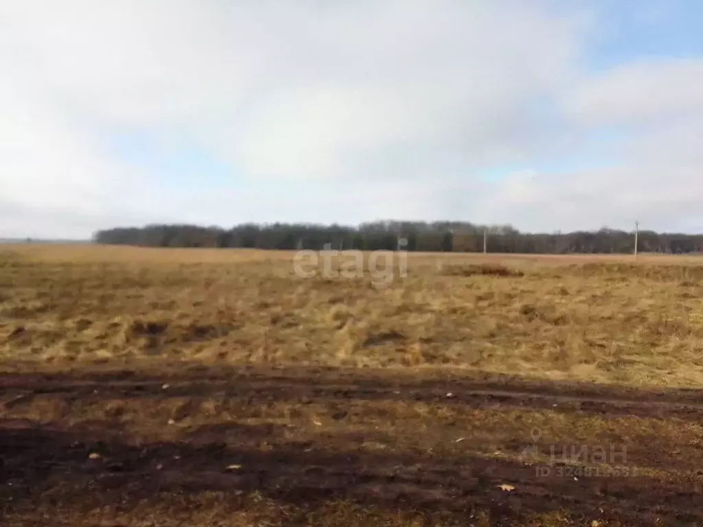 Участок в Курская область, Курский район, Шумаковский сельсовет, д. ... - Фото 1