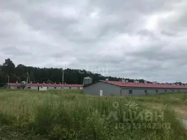 Склад в Калужская область, Юхновский район, Беляево с/пос, д. Беляево ... - Фото 1