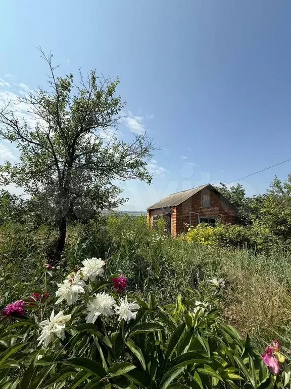 Участок 6 сот. (СНТ, ДНП) - Фото 0