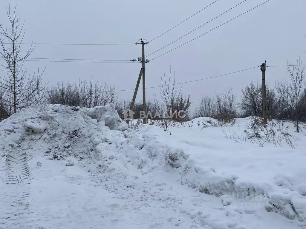 Участок в Алтайский край, Красногорский район, с. Березовка ул. ... - Фото 1