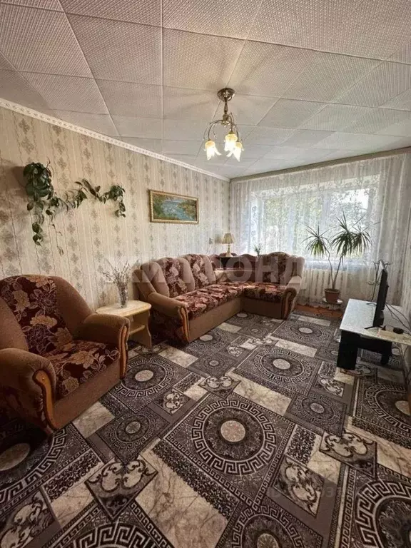 2-к кв. Новосибирская область, Колыванский район, с. Скала Молодежная ... - Фото 2