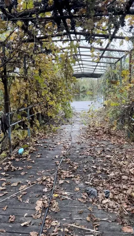 Участок в Астраханская область, Приволжский район, с. Три Протока ... - Фото 1