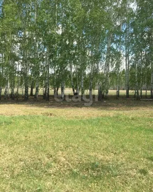 Участок в Омская область, Омский район, с. Усть-Заостровка ул. 8-я ... - Фото 0