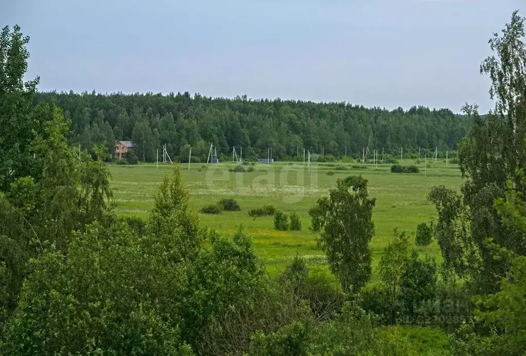 Участок в Ленинградская область, Всеволожский район, Колтушское ... - Фото 2