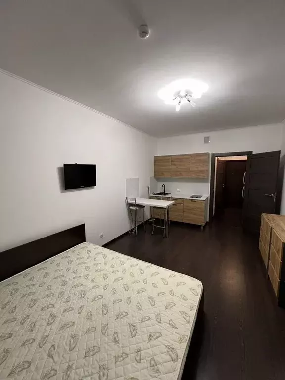 Студия Санкт-Петербург аллея Арцеуловская, 19 (25.0 м) - Фото 1