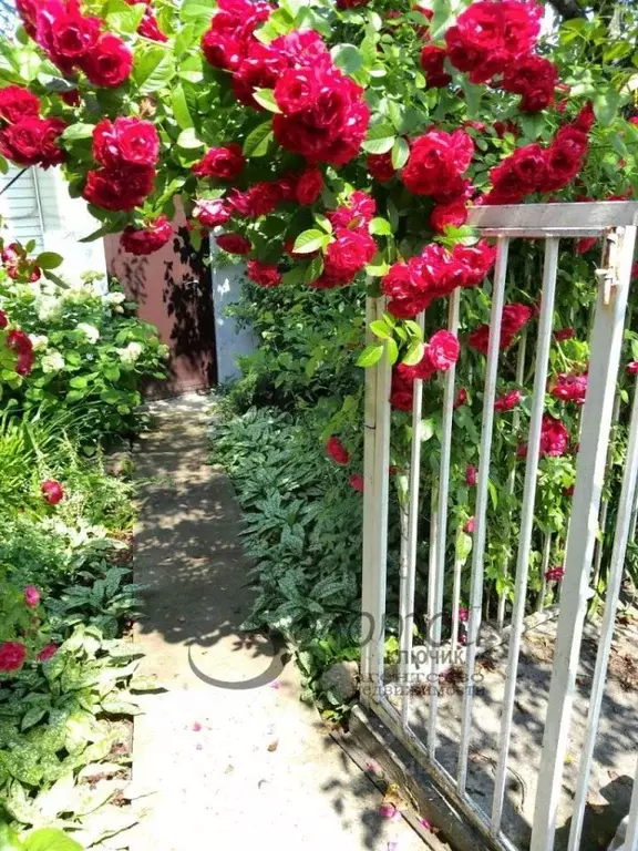 Дом в Нижегородская область, Нижний Новгород Гродненская ул., 5 (160 ... - Фото 2