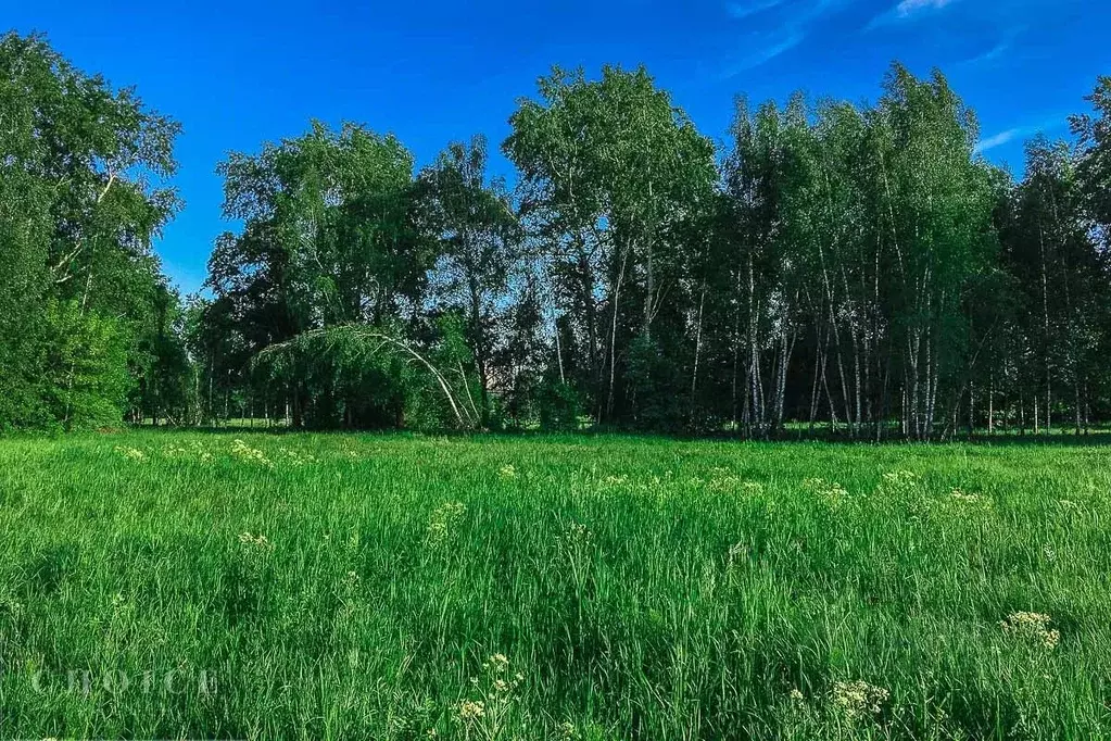 Участок в Московская область, Одинцовский городской округ, д. ... - Фото 1