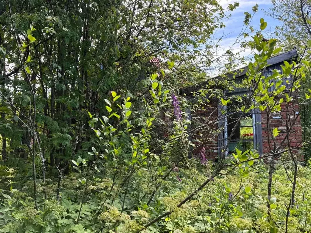 Участок в Свердловская область, Нижний Тагил муниципальный округ, пос. ... - Фото 1