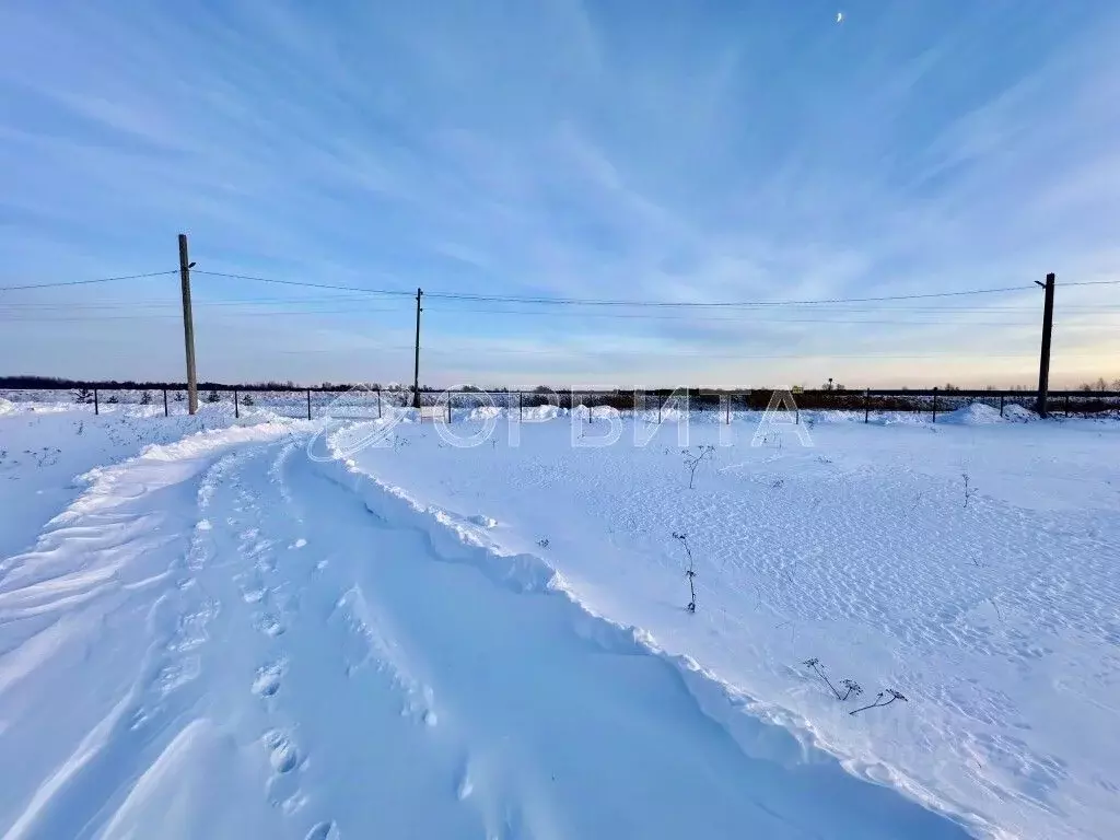 Участок в Тюменская область, Тюменский район, с. Червишево ул. ... - Фото 0