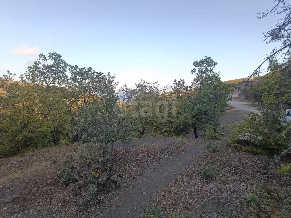 Участок в Крым, Алушта муниципальный округ, пос. Семидворье, Надежда ... - Фото 1