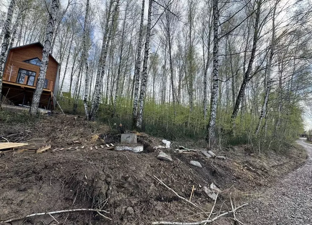 Участок в Новосибирская область, Новосибирск СОСН 7-й Ветеран тер.,  ... - Фото 1