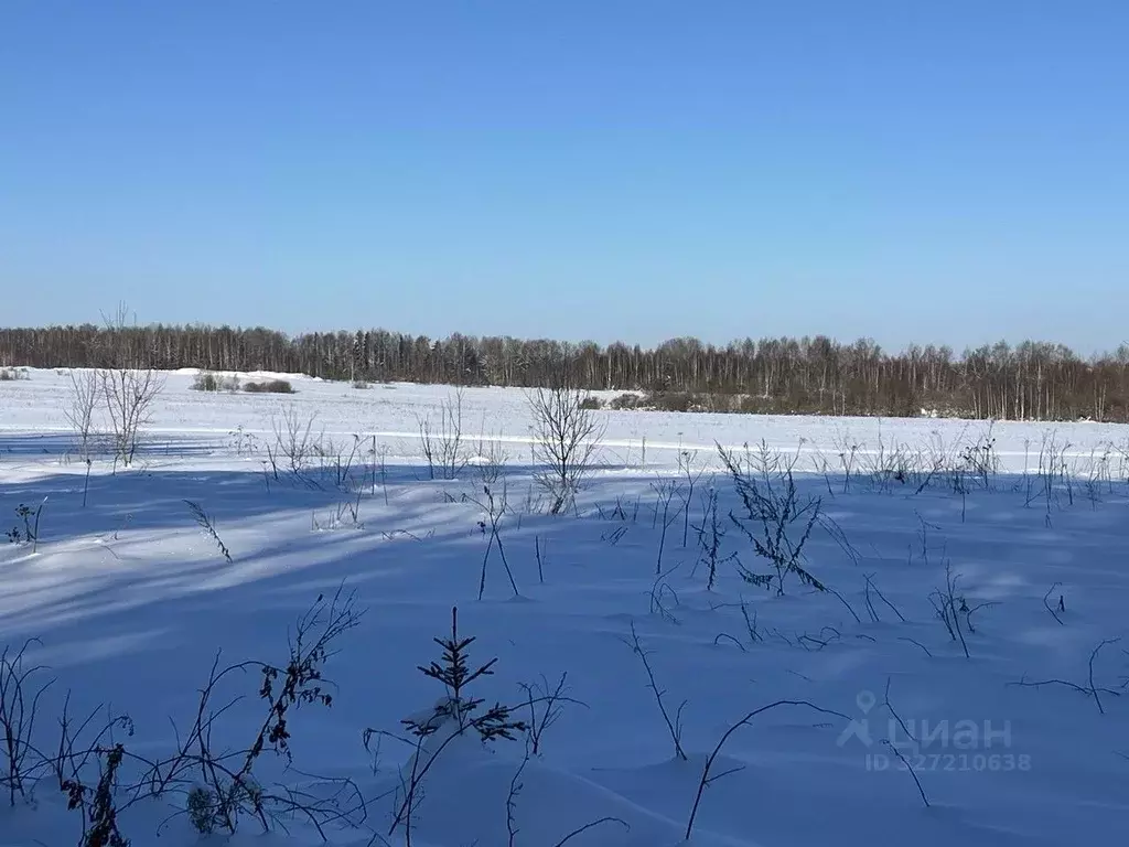 Участок в Московская область, Можайский муниципальный округ, д. ... - Фото 1