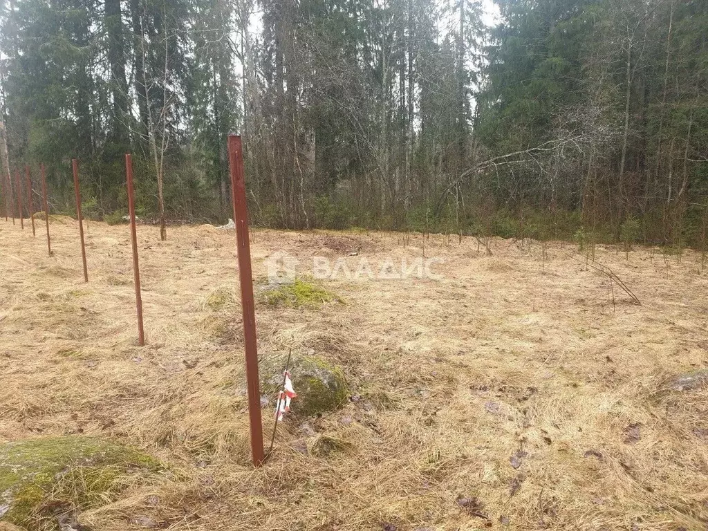Участок в Ленинградская область, Выборгский район, Красносельское ... - Фото 0