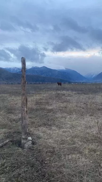 Участок в Алтай, Усть-Коксинский район, с. Тюнгур ул. Сухова (12.5 ... - Фото 1