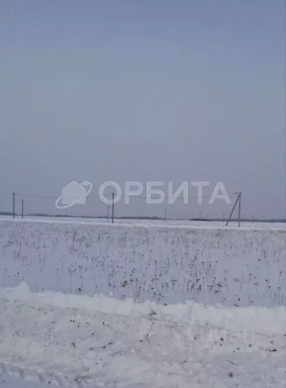 Участок в Тюменская область, Тюменский район, д. Марай  (7.5 сот.) - Фото 0