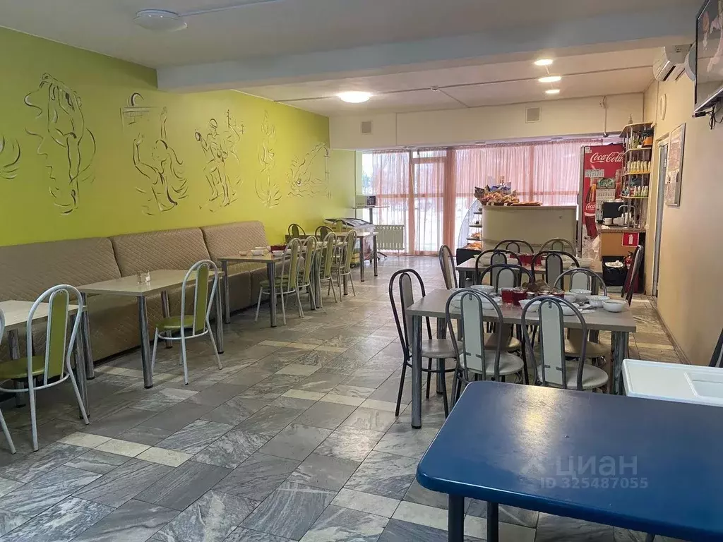 Помещение свободного назначения в Нижегородская область, Бор ул. ... - Фото 2