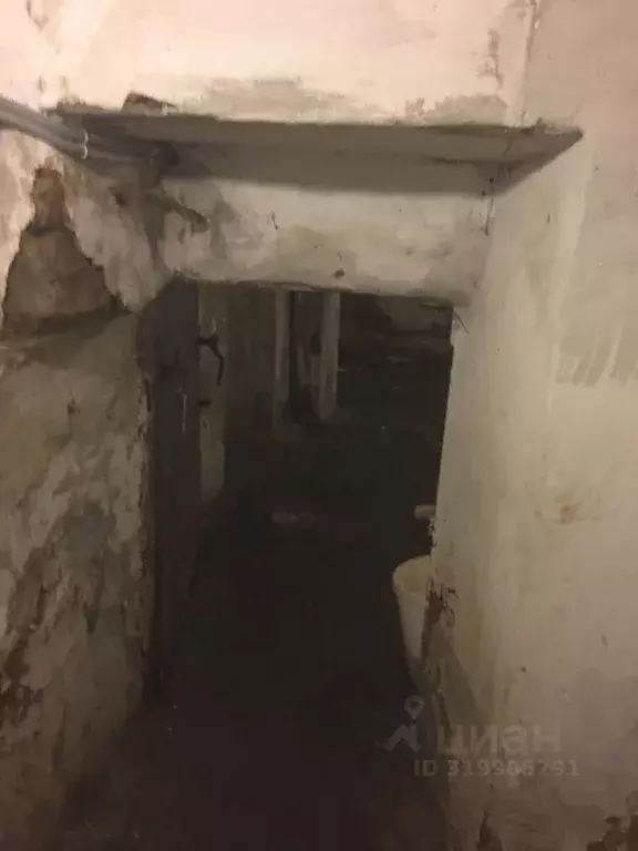 Помещение свободного назначения в Челябинская область, Челябинск ул. ... - Фото 0