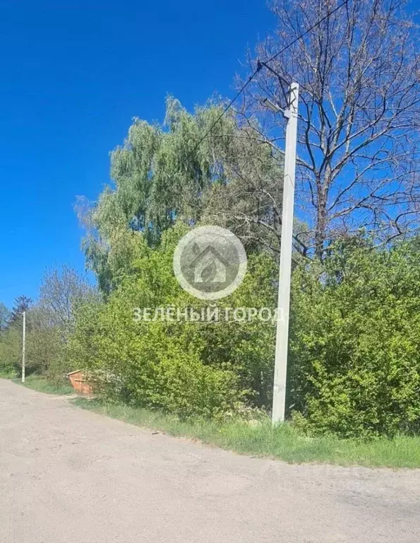 Участок в Калининградская область, Пионерский Ягодка СНТ,  (6.0 сот.) - Фото 2