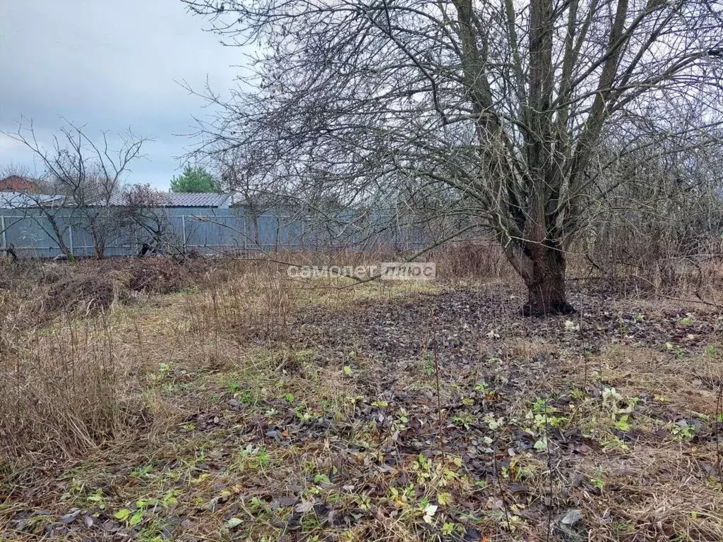 Участок в Московская область, Павлово-Посадский городской округ, д. ... - Фото 2