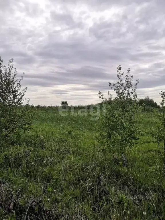Участок в Кемеровская область, Кемеровский район, Кирилловка СНТ  ... - Фото 1