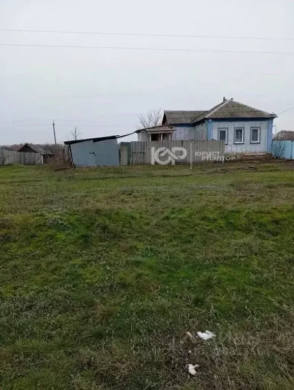 Дом в Воронежская область, Репьевское с/пос, Дракино хут. ул. ... - Фото 2