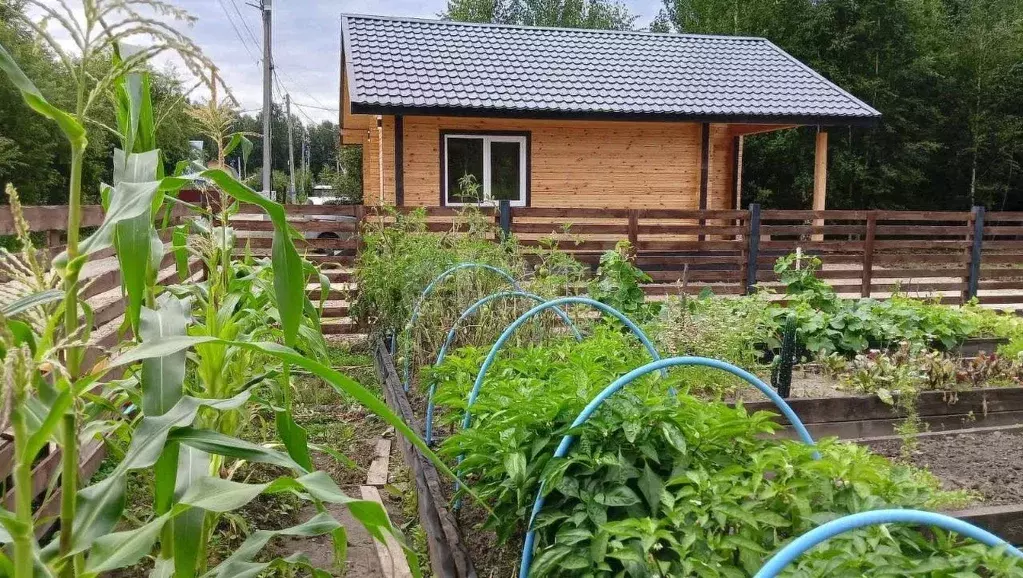 Дом в Тюменская область, Тюмень Якорь садовое товарищество, ул. ... - Фото 2