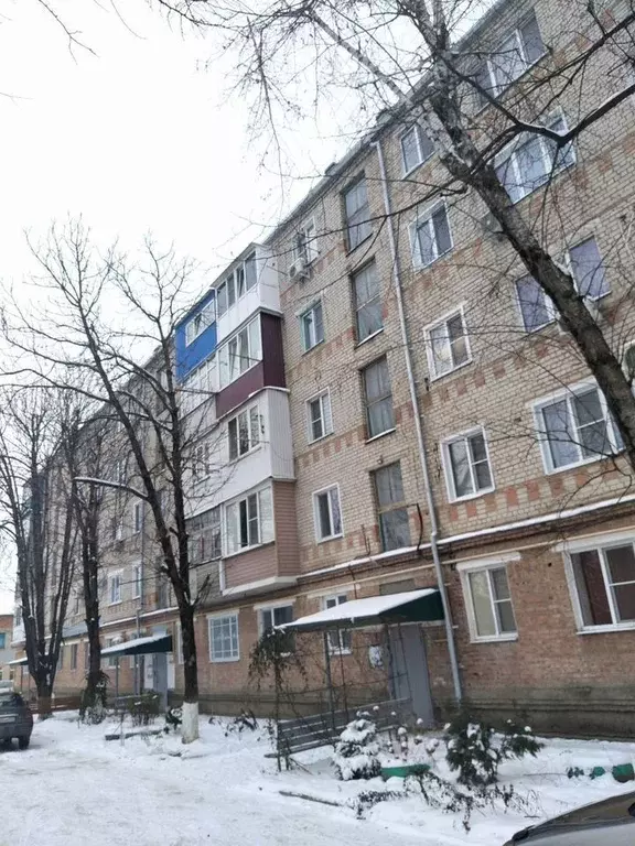 2-к кв. Краснодарский край, Гулькевичи ул. Энергетиков, 1Б (42.0 м) - Фото 1