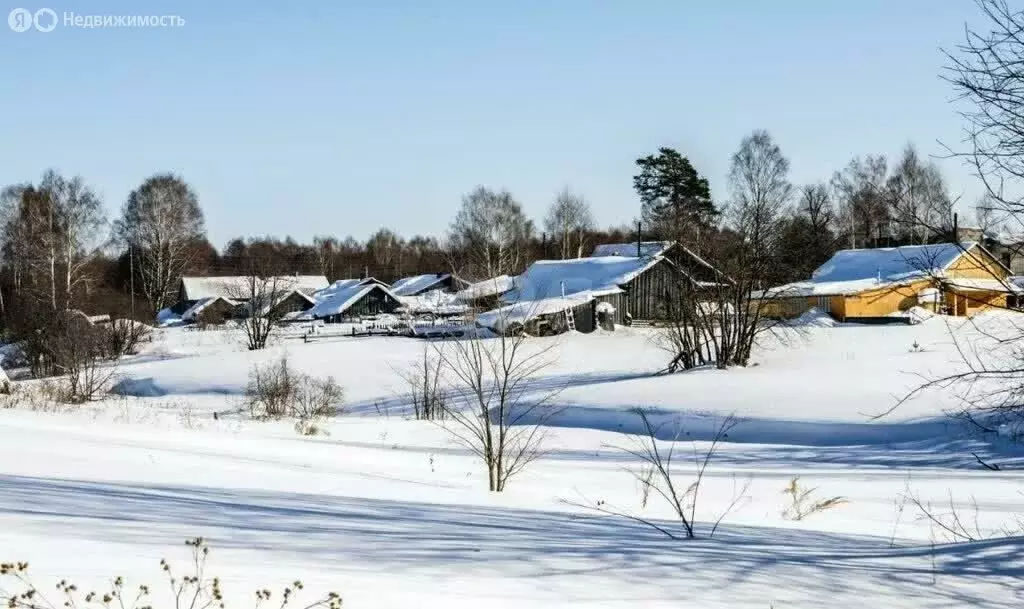 Участок в Советский район, Зашижемское сельское поселение, село ... - Фото 1