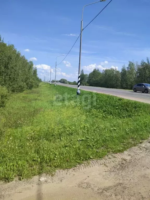 Участок в Новгородская область, Новгородский район, Панковское ... - Фото 1