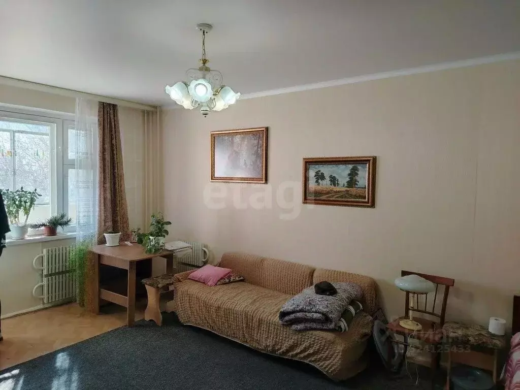 1-к кв. Воронежская область, с. Новая Усмань ул. Полевая, 51 (38.0 м) - Фото 1